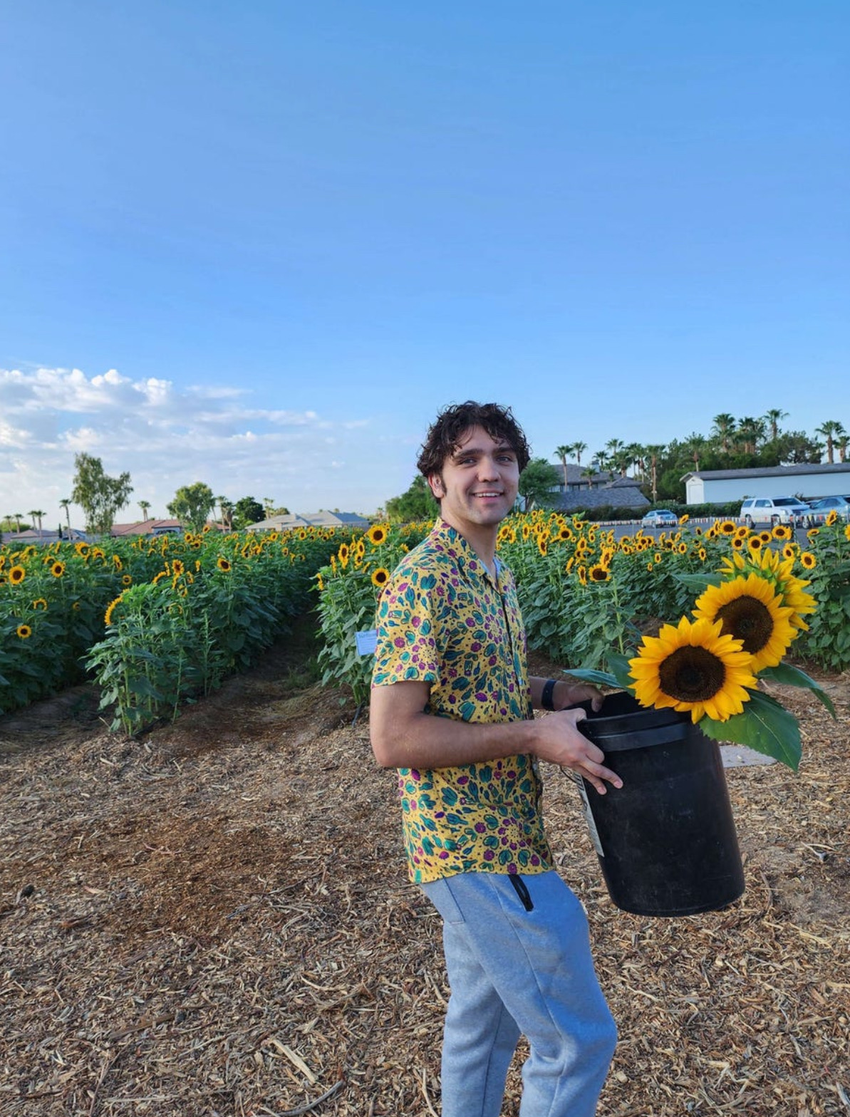 Bjorn outdoors in a sunflower field